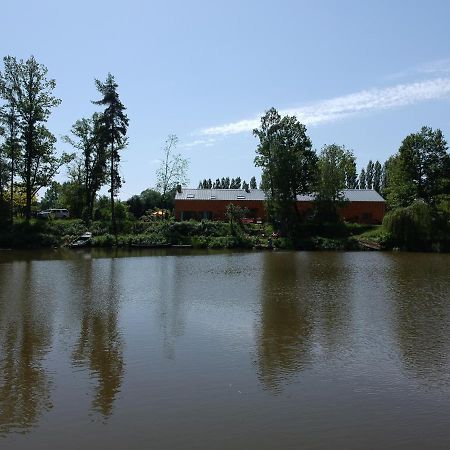 Florennes Gite Neuf 150 M2 Devant Un Grand Lac Prive De 2 Hectares Poissonneux Au Milieu Des Bois エクステリア 写真