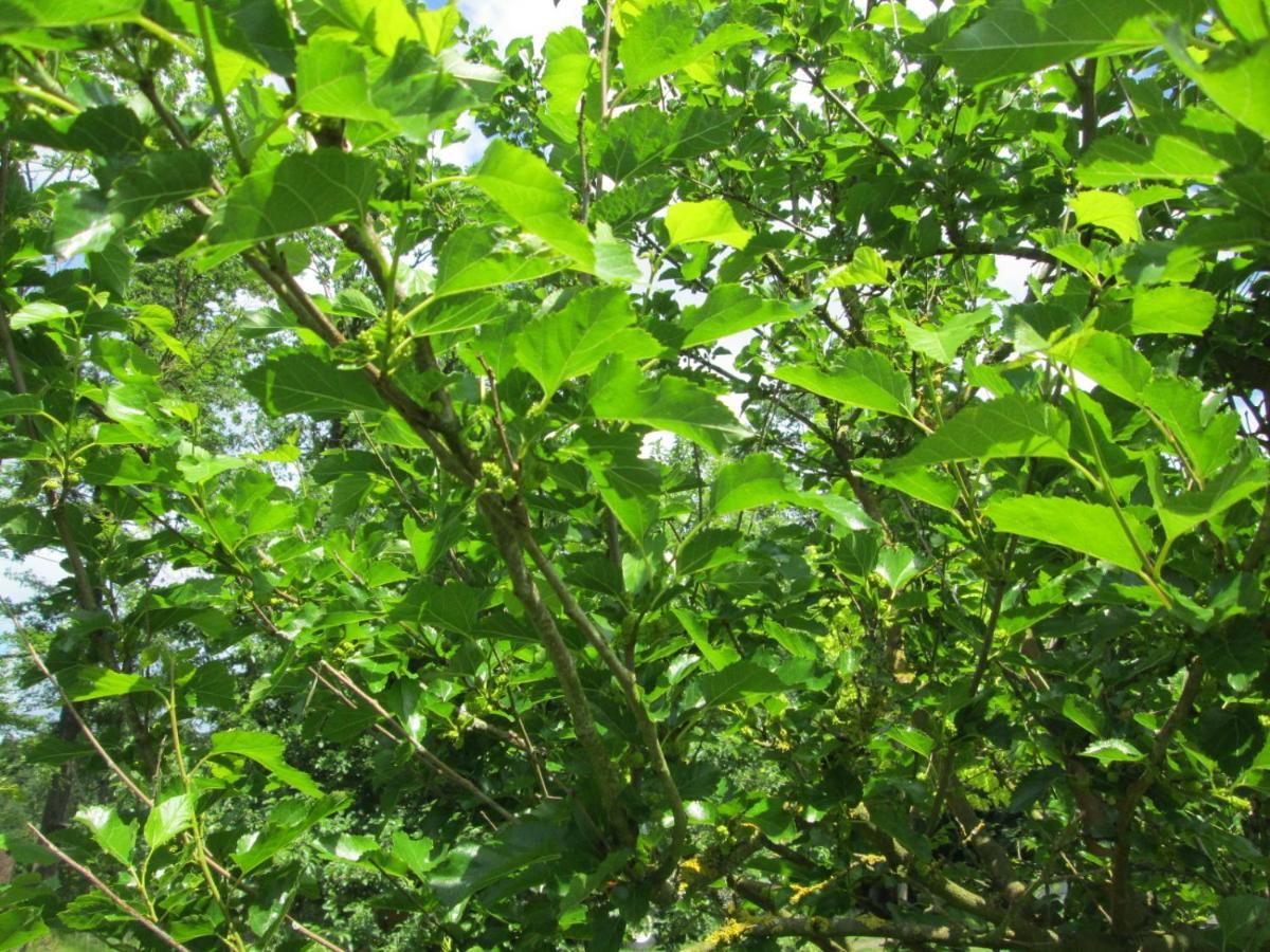 Florennes Gite Neuf 150 M2 Devant Un Grand Lac Prive De 2 Hectares Poissonneux Au Milieu Des Bois エクステリア 写真
