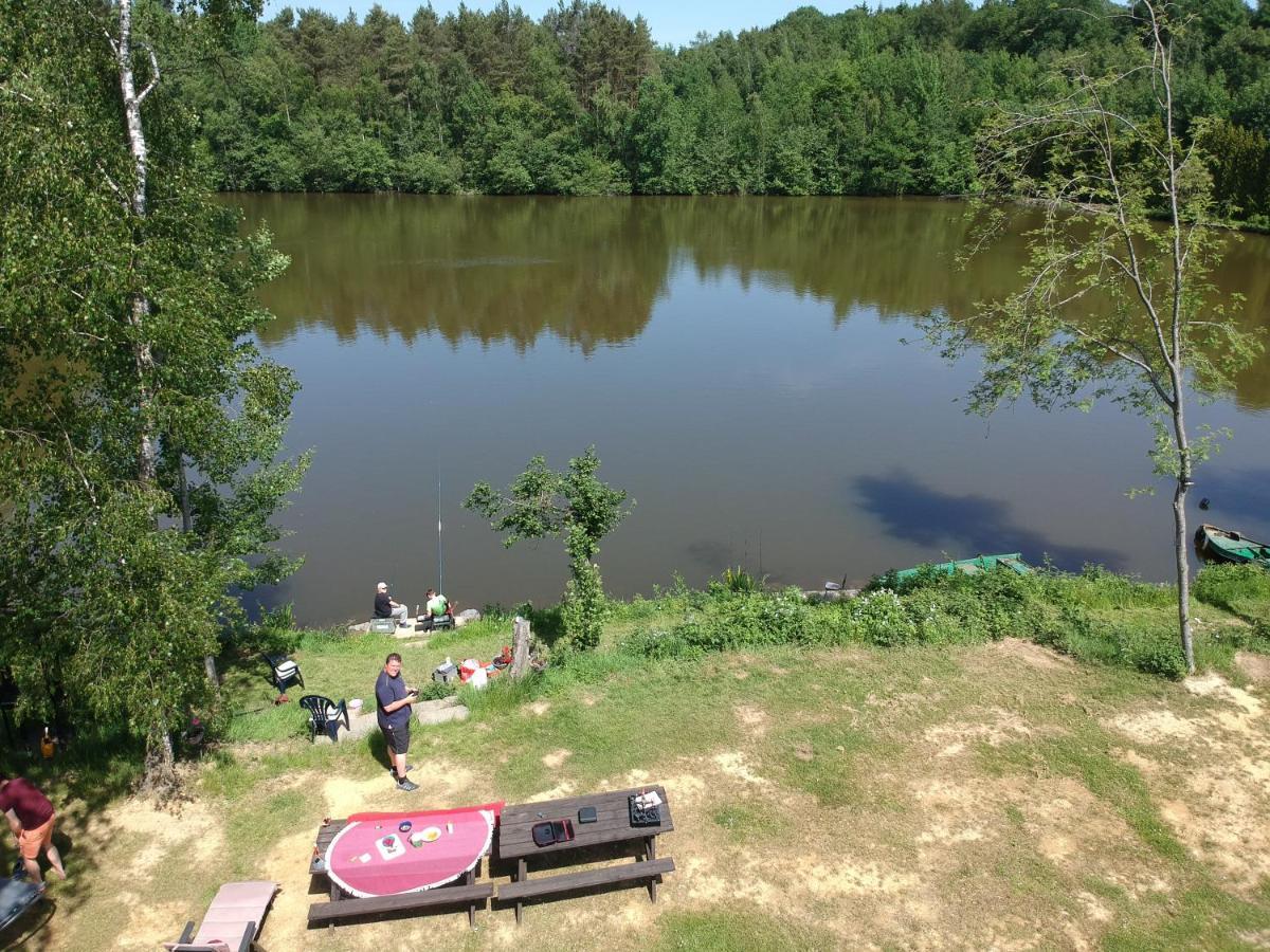 Florennes Gite Neuf 150 M2 Devant Un Grand Lac Prive De 2 Hectares Poissonneux Au Milieu Des Bois エクステリア 写真