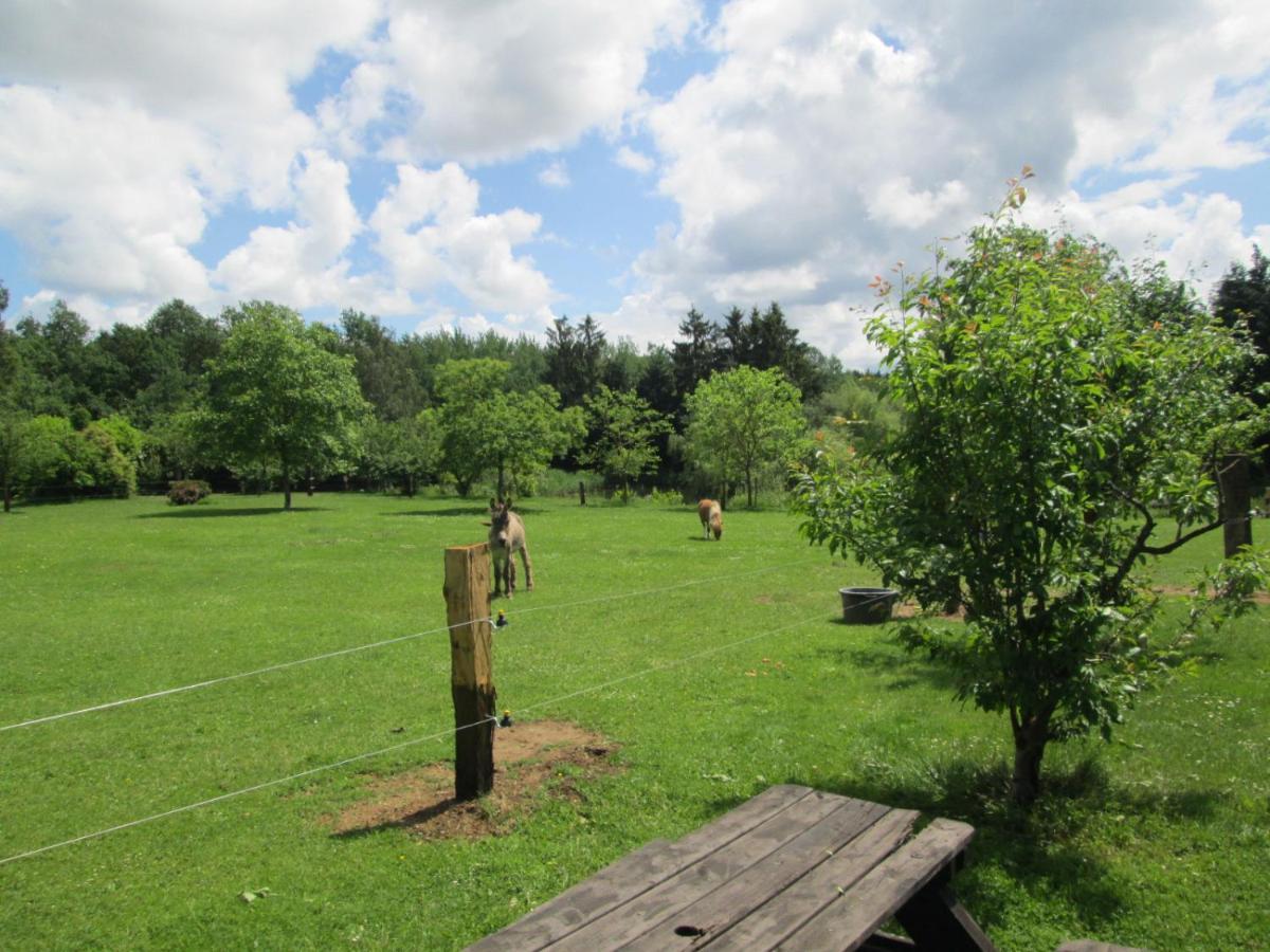 Florennes Gite Neuf 150 M2 Devant Un Grand Lac Prive De 2 Hectares Poissonneux Au Milieu Des Bois エクステリア 写真