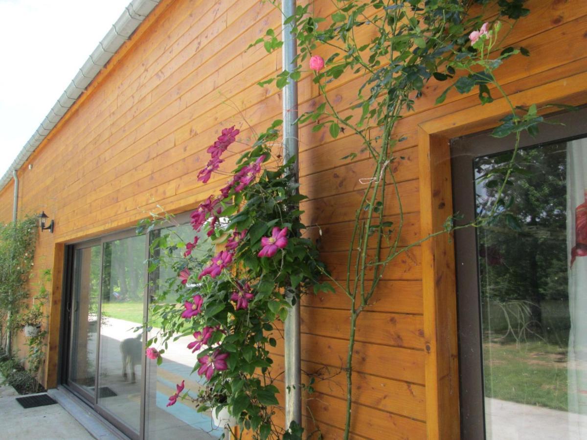 Florennes Gite Neuf 150 M2 Devant Un Grand Lac Prive De 2 Hectares Poissonneux Au Milieu Des Bois エクステリア 写真