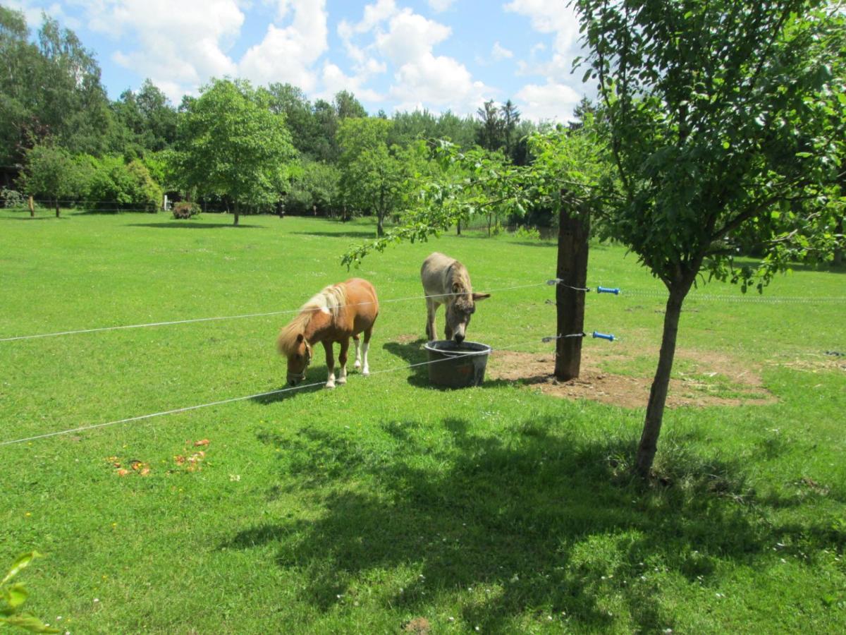 Florennes Gite Neuf 150 M2 Devant Un Grand Lac Prive De 2 Hectares Poissonneux Au Milieu Des Bois エクステリア 写真