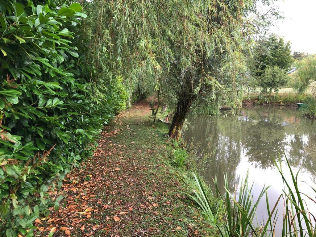 Florennes Gite Neuf 150 M2 Devant Un Grand Lac Prive De 2 Hectares Poissonneux Au Milieu Des Bois エクステリア 写真